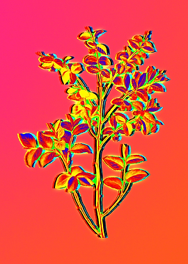 Neon Flower Illustration