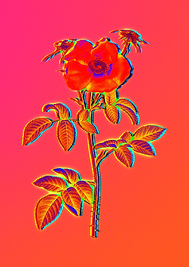 Pink Neon Rose Painting