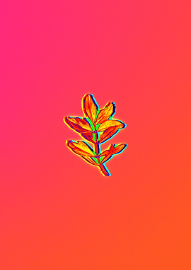 Neon Floral Illustration