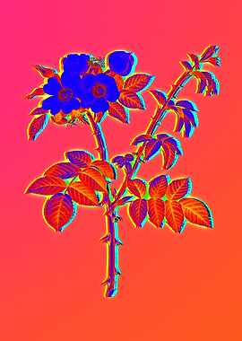 Neon Electric Blue Flower