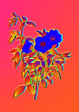 Neon Electric Blue Flowers
