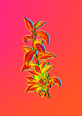 Neon Botanical Flower