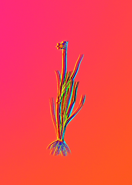 Neon Flower Illustration