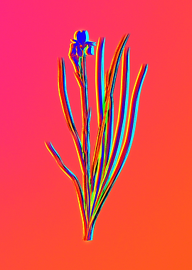 Neon Flower Artwork