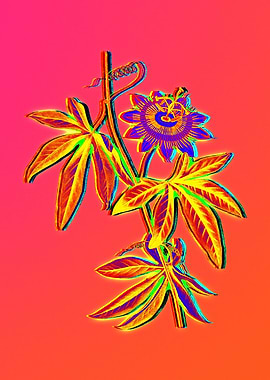 Bright Pink Neon Botanical