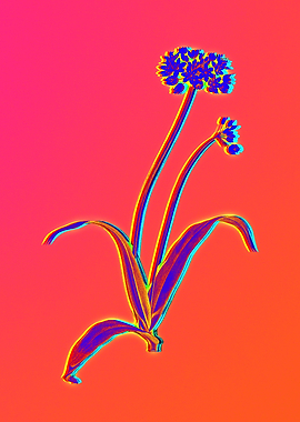 Red Botanical Illustration