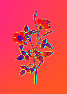 Neon Botanical Drawing