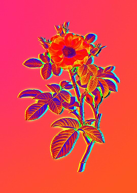 Neon Flowers Illustration