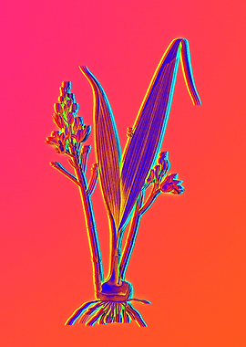 Pink Neon Rainbow Floral
