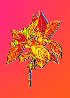 Neon Botanical Drawing