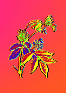 Blue Flowers Yellow Flower