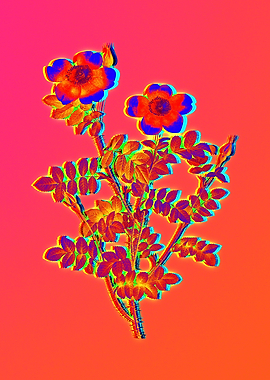 Pink Neon Rose Painting