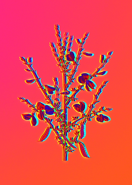 Hot Flower Illustration