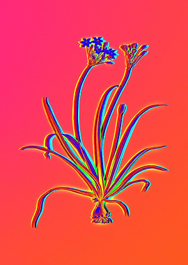 Neon Flower Illustration
