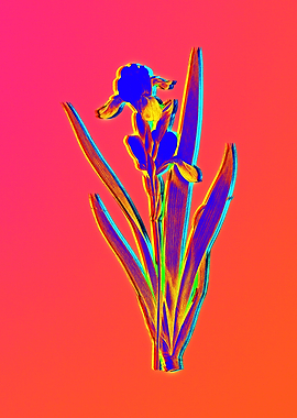 Neon Flower Illustration