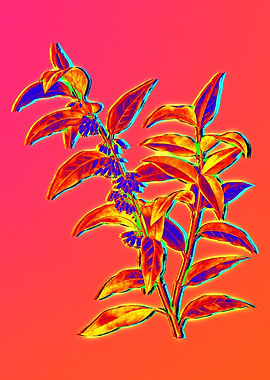 Neon Floral Illustration