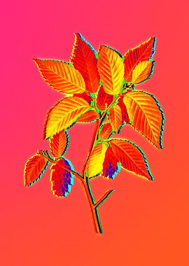 Neon Floral Illustration