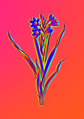 Neon Flower Illustration