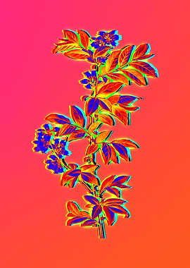 Blue Flowers Yellow Flower