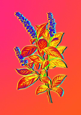 Neon Flower Illustration