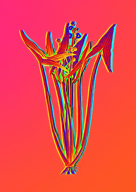 Neon Floral Illustration