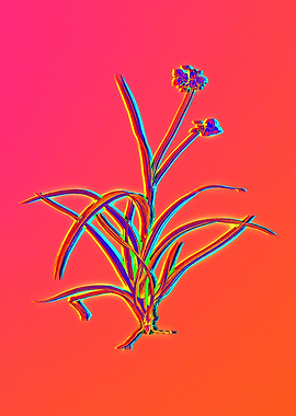 Red Botanical Illustration