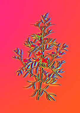 Bright Pink Neon Botanical