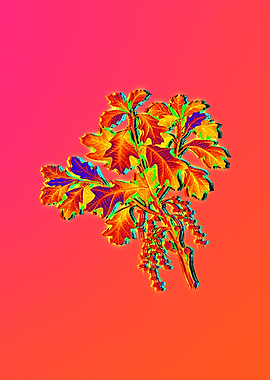 Neon Flower Illustration