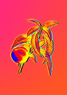 Neon Floral Illustration