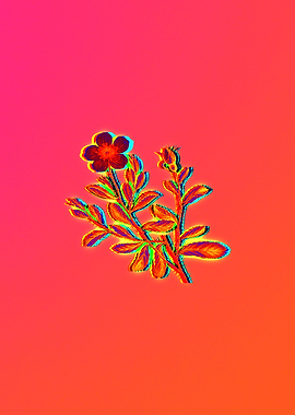 Neon Flower Illustration