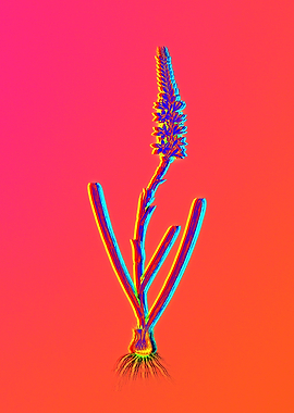 Neon Florals Illustration