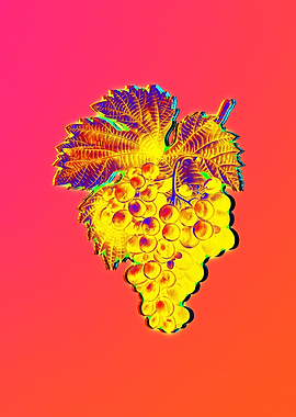 Yellow Flower Red Flower