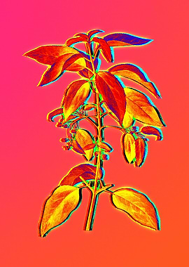 Neon Botanical Flower