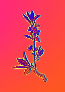 Neon Flower Illustration