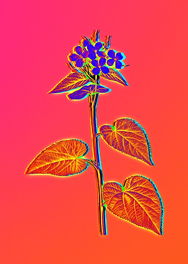 Hot Neon Pink Flowers