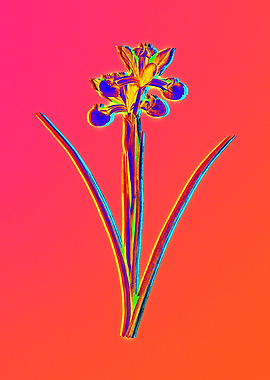 Neon Flower Illustration