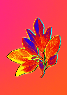 Neon Flower Illustration