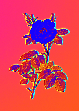 Neon Florals Illustration
