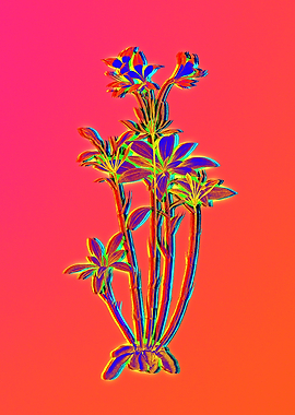 Pink Neon Blue Botanical