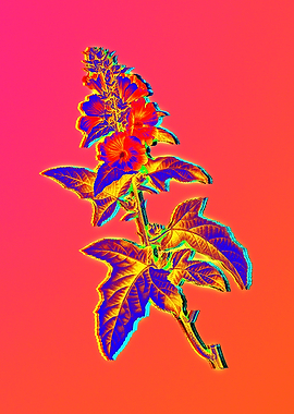 Neon Floral Illustration