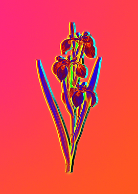 Neon Florals Illustration