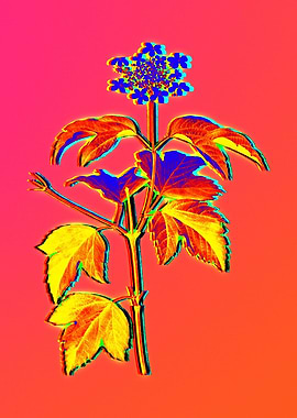 Neon Fabulous Flowers