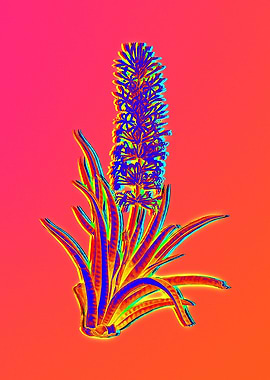 Neon Flower Illustration