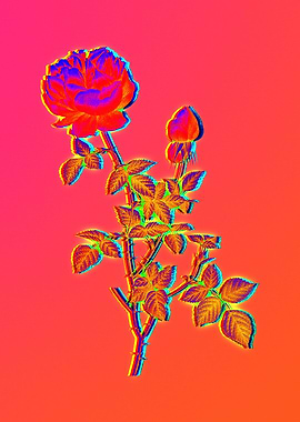 Neon Flower Illustration
