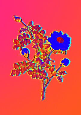 Neon Electric Blue Floral