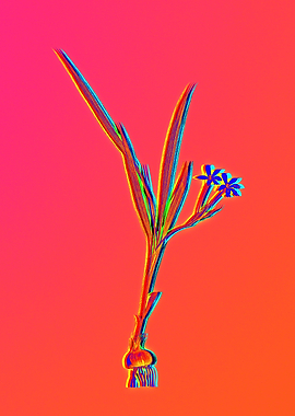Neon Flower Illustration