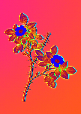 Red Botanical Illustration