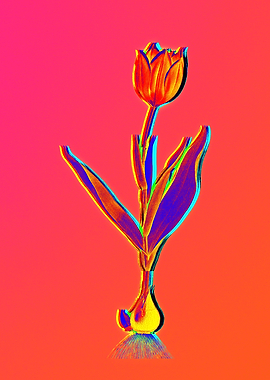 Ultraviolet Neon Flower