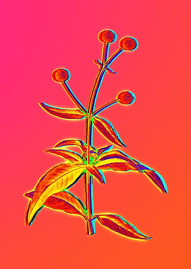 Neon Flower Illustration