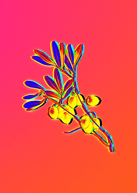 Neon Flower Illustration